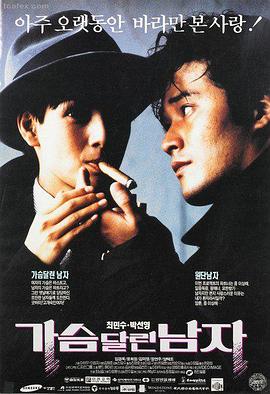 苹果影院文艺剧情旧城候鸟海报